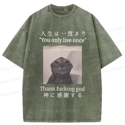 Tokyo-Tiger Funny Melancholy Cat Washed T-Shirt