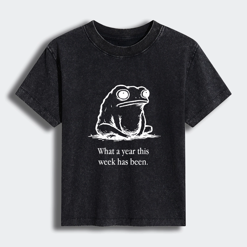 Tokyo-Tiger This Week Feels Like A Whole Year Women's Washed T-shirt
