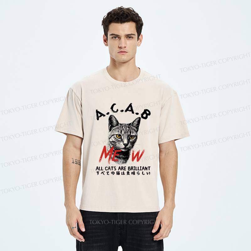Tokyo-Tiger Funny All Cats Are Brilliant meme Washed T-Shirt