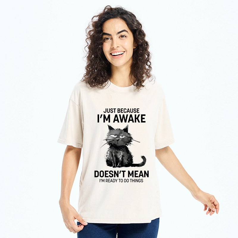 Tokyo-Tiger Grumpy Cat Not Ready To Do Things Washed T-Shirt