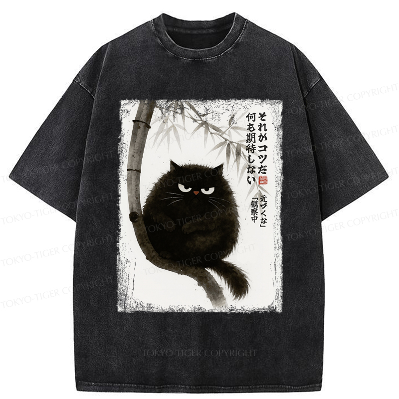 Tokyo-Tiger Funny Silent Observer: The Cat's Gaze Washed T-Shirt