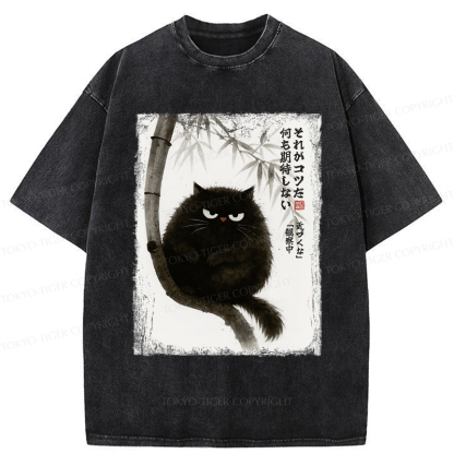 Tokyo-Tiger Funny Silent Observer: The Cat's Gaze Washed T-Shirt