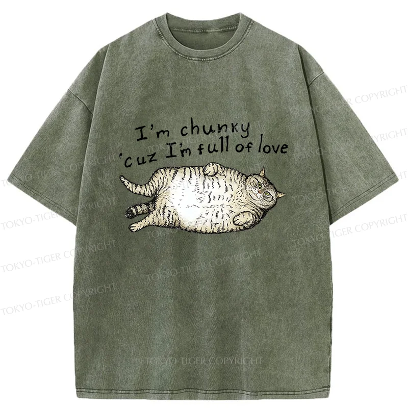 Tokyo-Tiger Fat Cat Funny Washed T-Shirt