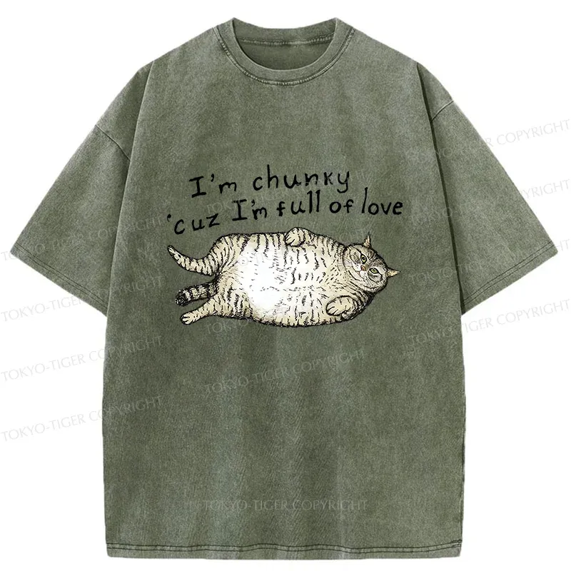 Tokyo-Tiger Fat Cat Funny Washed T-Shirt