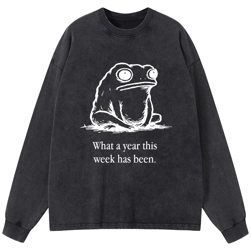 Tokyo-Tiger This Week Feels Like A Whole Year Washed Long Sleeve T-Shirt
