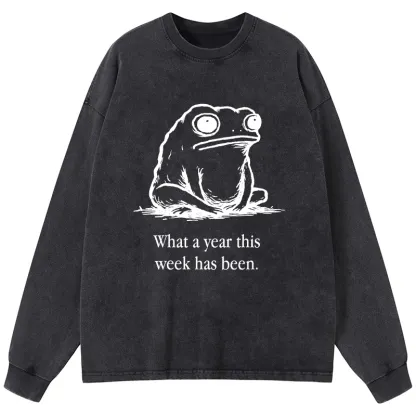 Tokyo-Tiger This Week Feels Like A Whole Year Washed Long Sleeve T-Shirt