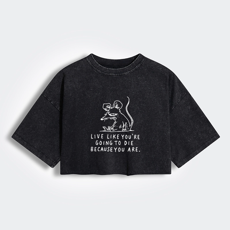 Tokyo-Tiger Funny Meme Sarcastic Rat Life Truth Women's Washed Crop T-Shirt