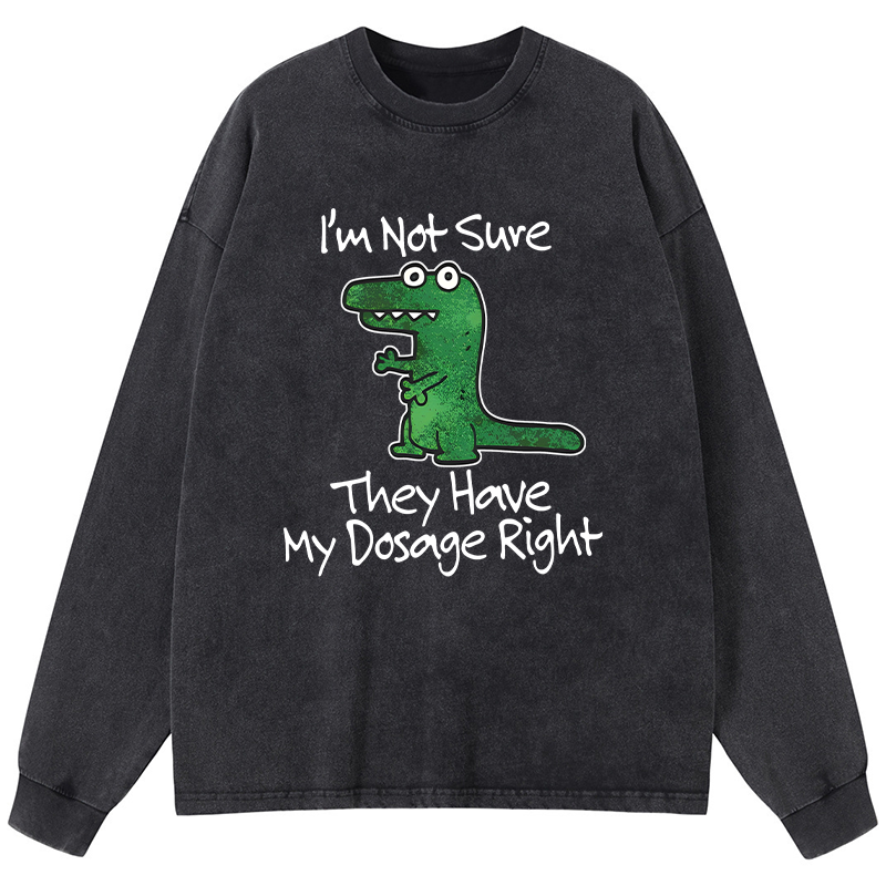 Tokyo-Tiger Dinosaur Meme Sarcastic Ironic Washed Long Sleeve T-Shirt