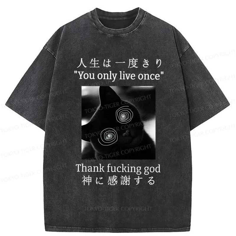 Tokyo-Tiger Dizzy Cat Japan Washed T-Shirt