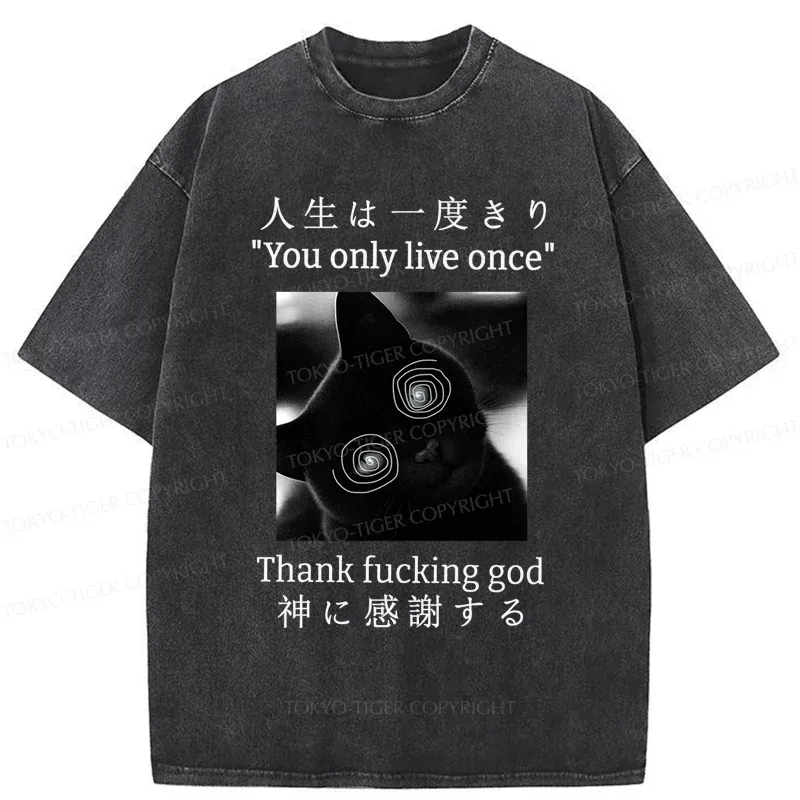 Tokyo-Tiger Dizzy Cat Japan Washed T-Shirt