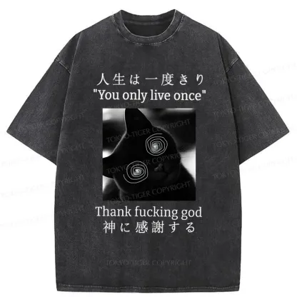 Tokyo-Tiger Dizzy Cat Japan Washed T-Shirt