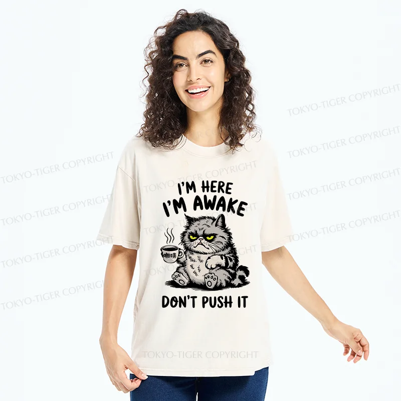 Tokyo-Tiger Tired Cat Washed T-Shirt