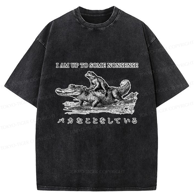 Tokyo-Tiger I Am Up To Some Nonsense Frog Vintage Washed T-Shirt