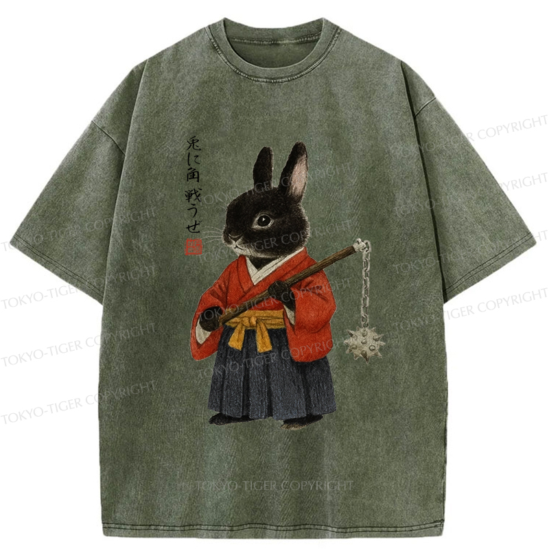 Tokyo-Tiger Japanese Rabbit：Let's Fight Washed T-Shirt