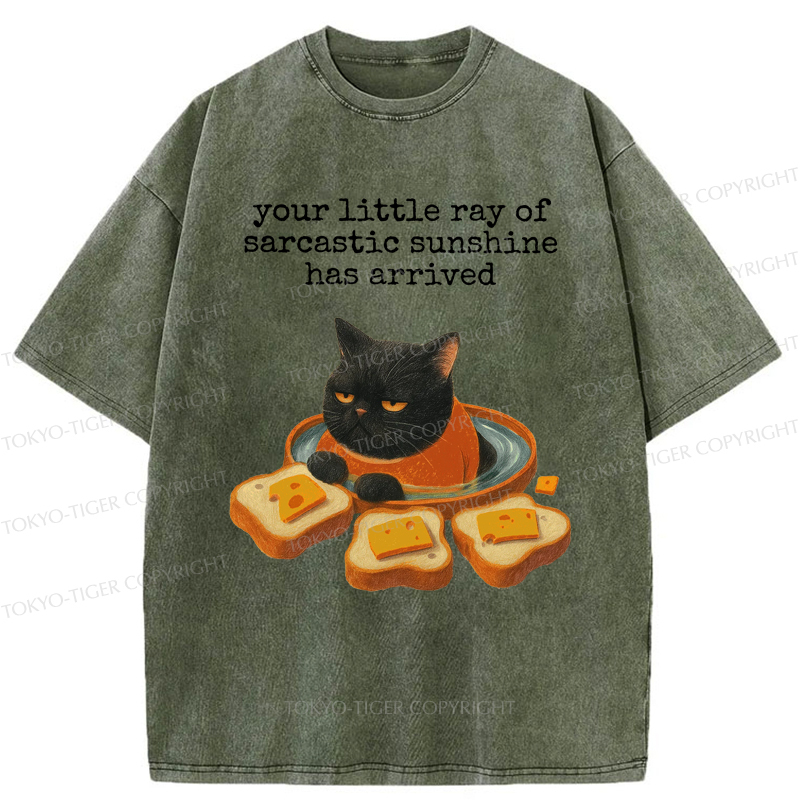 Tokyo-Tiger Funny Cat：Your little Ray Of Sarcastic Sunshine Has Arrived Washed T-Shirt