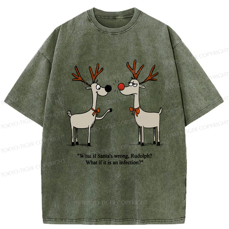 Tokyo-Tiger A Reindeer's Doubt: Rudolph's Red Nose Washed T-Shirt