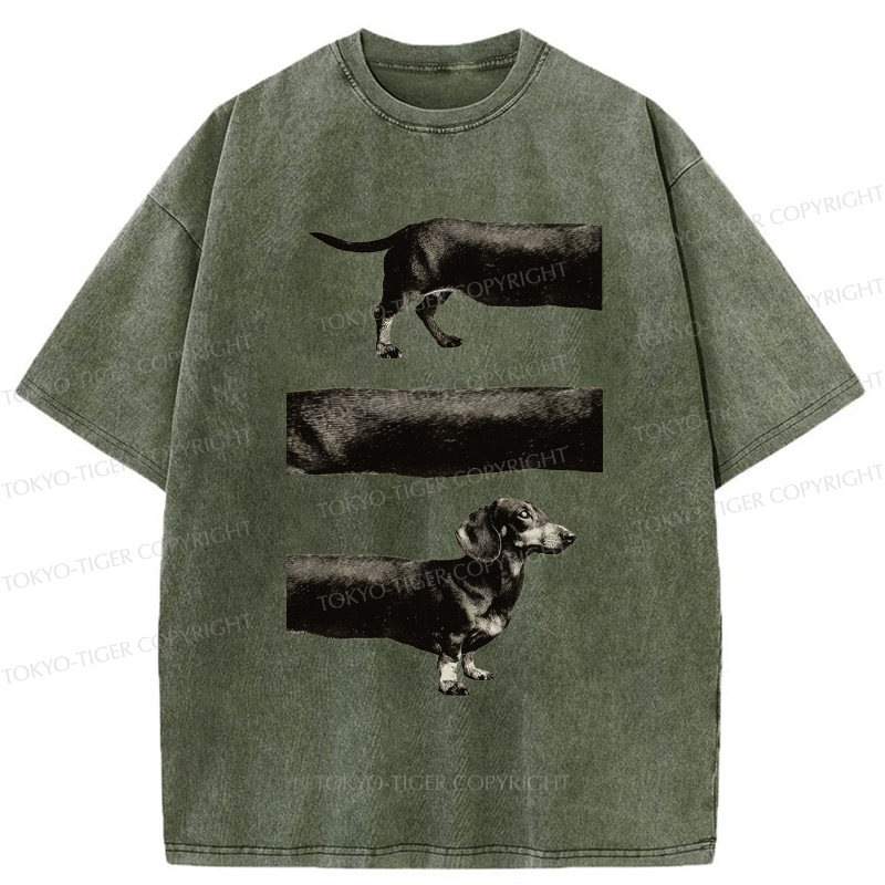 Tokyo-Tiger A Dog With No End In Sight Washed T-Shirt
