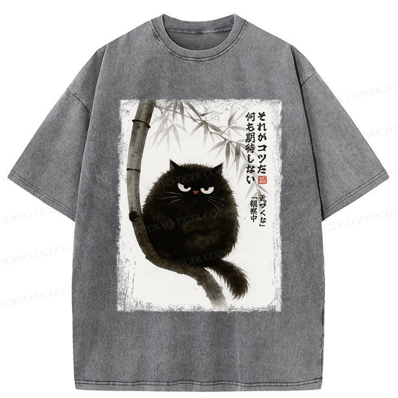 Tokyo-Tiger Funny Silent Observer: The Cat's Gaze Washed T-Shirt