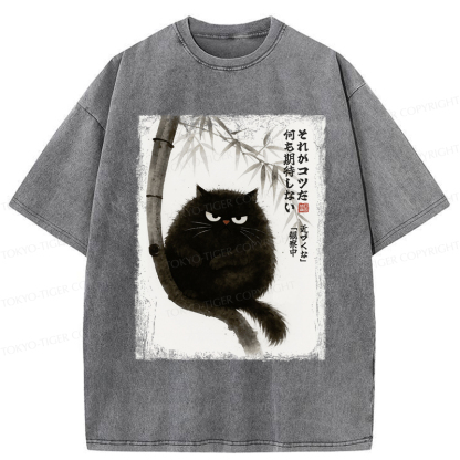 Tokyo-Tiger Funny Silent Observer: The Cat's Gaze Washed T-Shirt