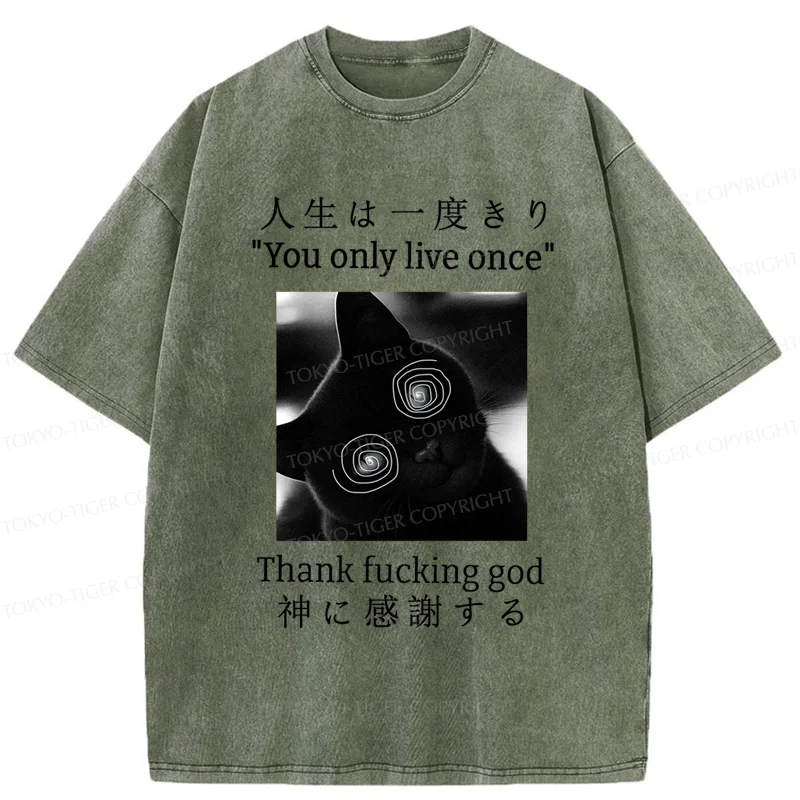 Tokyo-Tiger Dizzy Cat Japan Washed T-Shirt