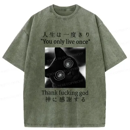 Tokyo-Tiger Dizzy Cat Japan Washed T-Shirt