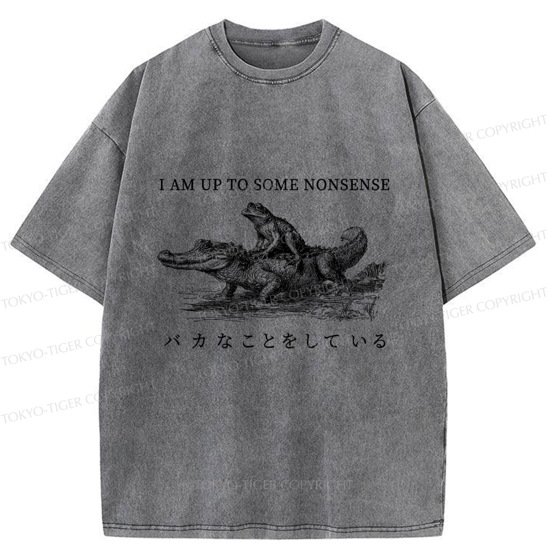 Tokyo-Tiger I Am Up To Some Nonsense Frog Vintage Washed T-Shirt