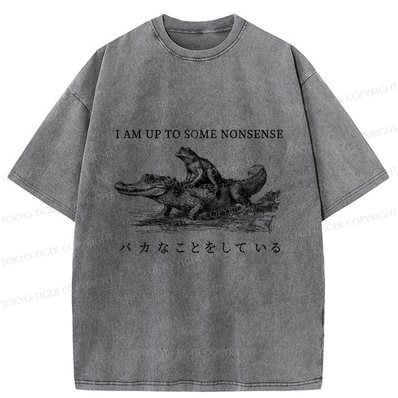 Tokyo-Tiger I Am Up To Some Nonsense Frog Vintage Washed T-Shirt