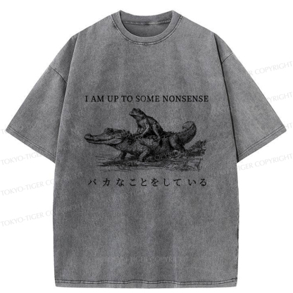 Tokyo-Tiger I Am Up To Some Nonsense Frog Vintage Washed T-Shirt