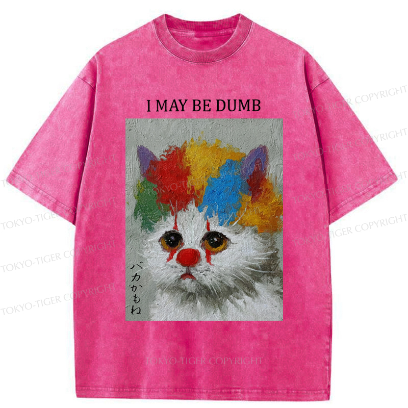 Tokyo-Tiger Funny Clown Cat：I May Be Dumb Washed T-Shirt