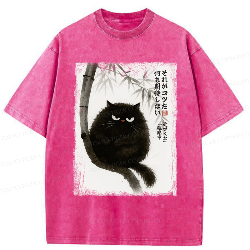 Tokyo-Tiger Funny Silent Observer: The Cat's Gaze Washed T-Shirt