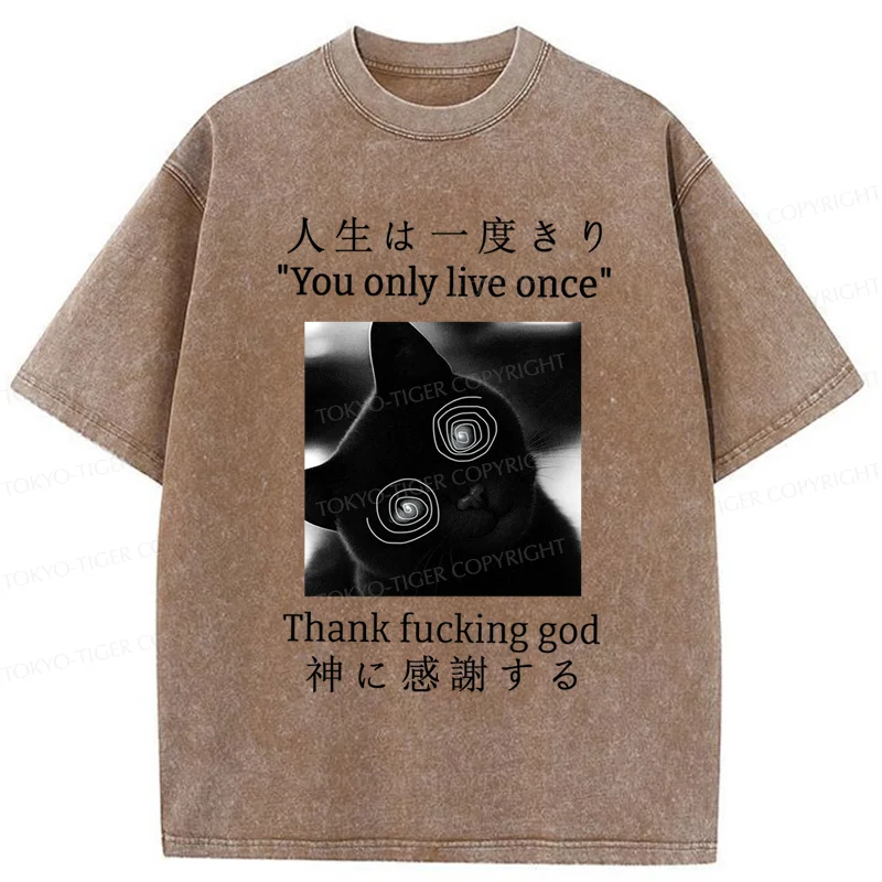 Tokyo-Tiger Dizzy Cat Japan Washed T-Shirt