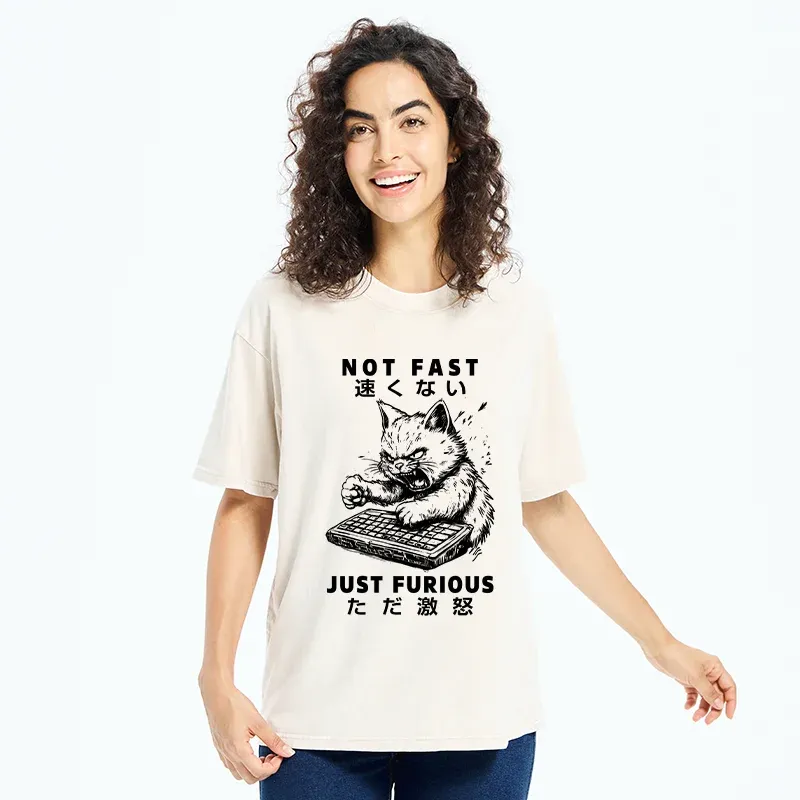 Tokyo-Tiger Not Fast Just Furious Washed T-Shirt
