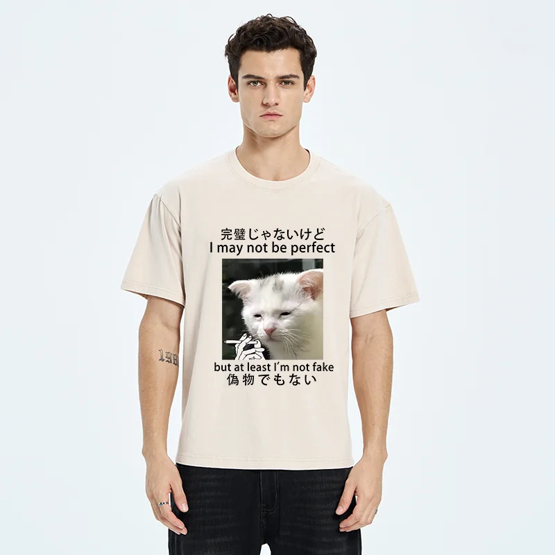 Tokyo-Tiger Cat Lamenting Life Washed T-Shirt