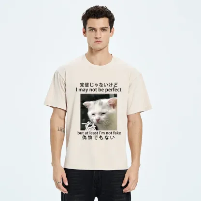 Tokyo-Tiger Cat Lamenting Life Washed T-Shirt