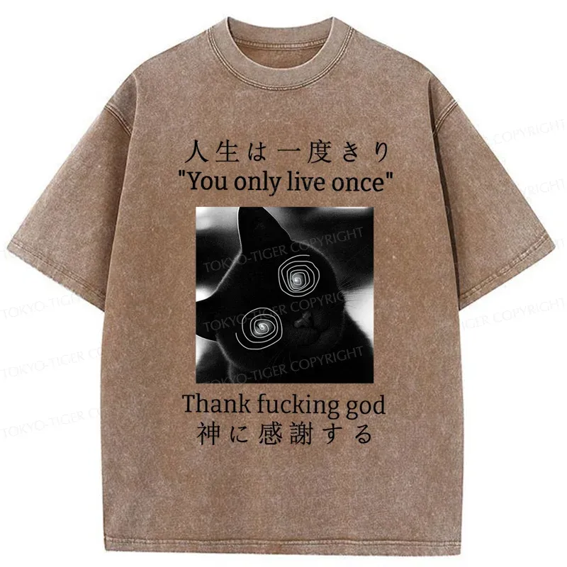 Tokyo-Tiger Dizzy Cat Japan Washed T-Shirt