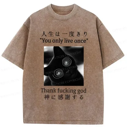 Tokyo-Tiger Dizzy Cat Japan Washed T-Shirt