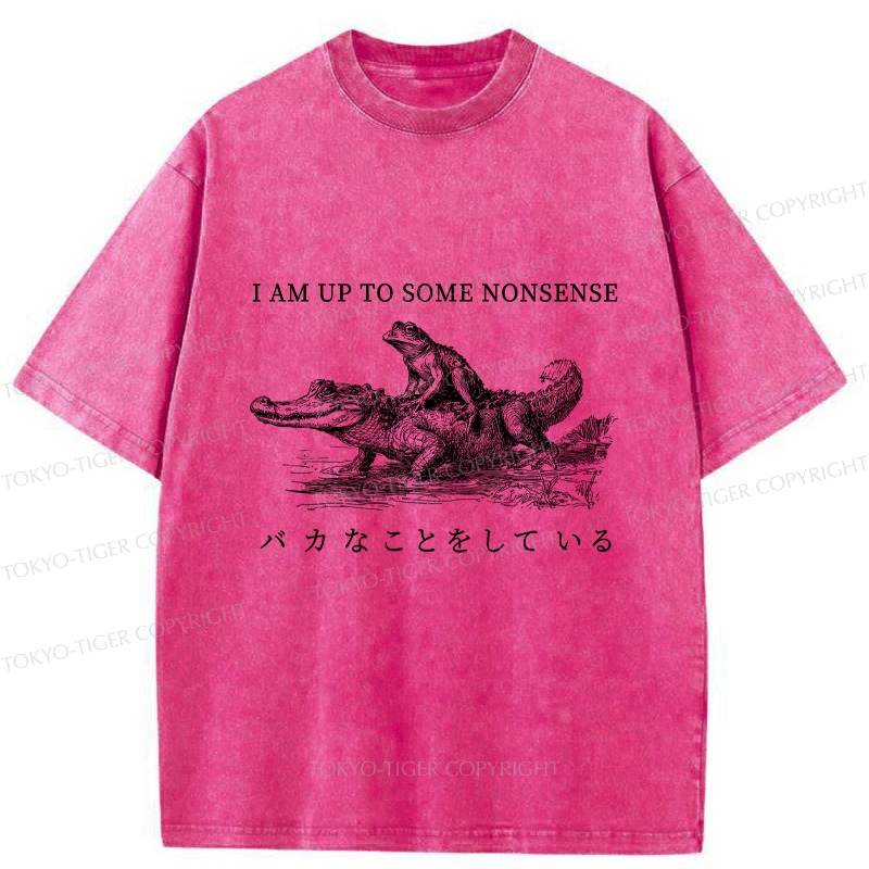 Tokyo-Tiger I Am Up To Some Nonsense Frog Vintage Washed T-Shirt