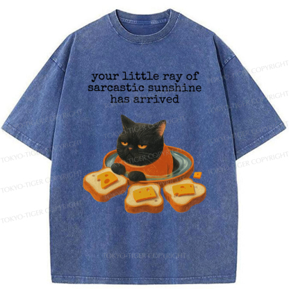 Tokyo-Tiger Funny Cat：Your little Ray Of Sarcastic Sunshine Has Arrived Washed T-Shirt