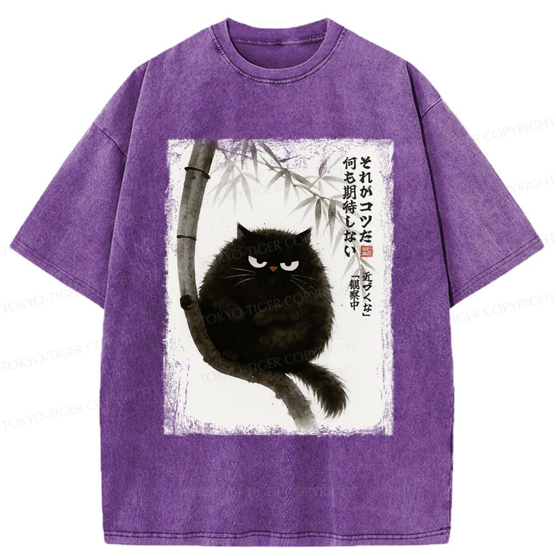 Tokyo-Tiger Funny Silent Observer: The Cat's Gaze Washed T-Shirt
