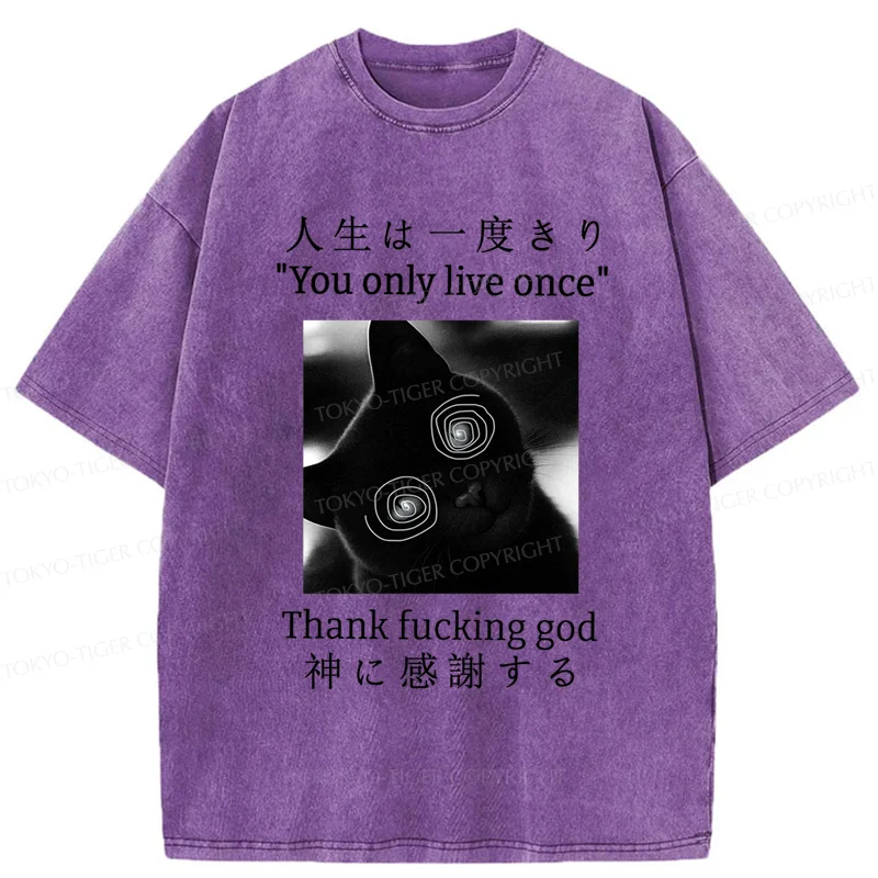 Tokyo-Tiger Dizzy Cat Japan Washed T-Shirt