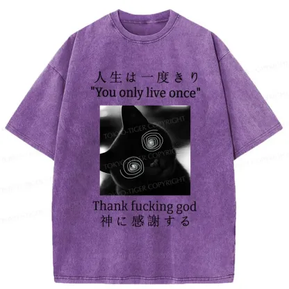 Tokyo-Tiger Dizzy Cat Japan Washed T-Shirt