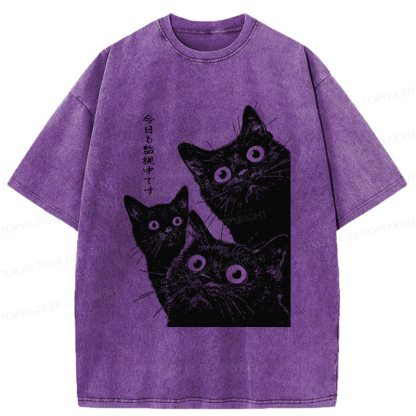 Tokyo-Tiger Three Cats Are Watching You Today Washed T-Shirt
