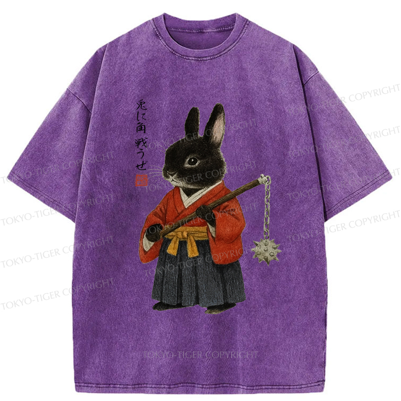 Tokyo-Tiger Japanese Rabbit：Let's Fight Washed T-Shirt