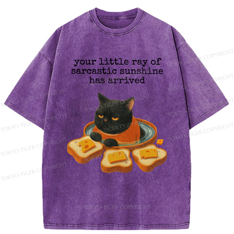 Tokyo-Tiger Funny Cat：Your little Ray Of Sarcastic Sunshine Has Arrived Washed T-Shirt