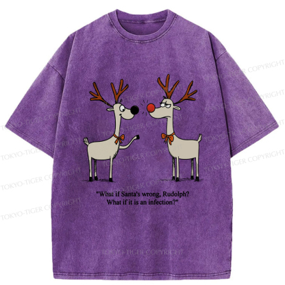 Tokyo-Tiger A Reindeer's Doubt: Rudolph's Red Nose Washed T-Shirt