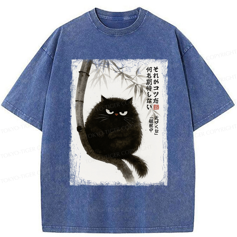 Tokyo-Tiger Funny Silent Observer: The Cat's Gaze Washed T-Shirt