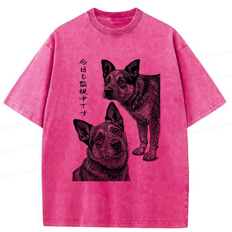 Tokyo-Tiger The Dog is Watching Today Washed T-Shirt