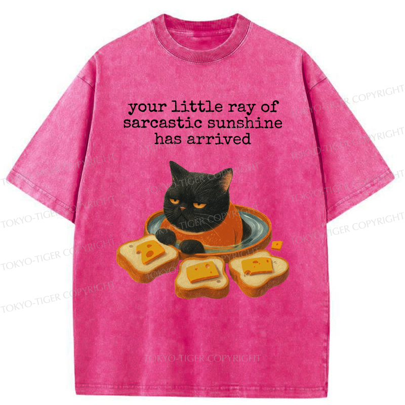 Tokyo-Tiger Funny Cat：Your little Ray Of Sarcastic Sunshine Has Arrived Washed T-Shirt