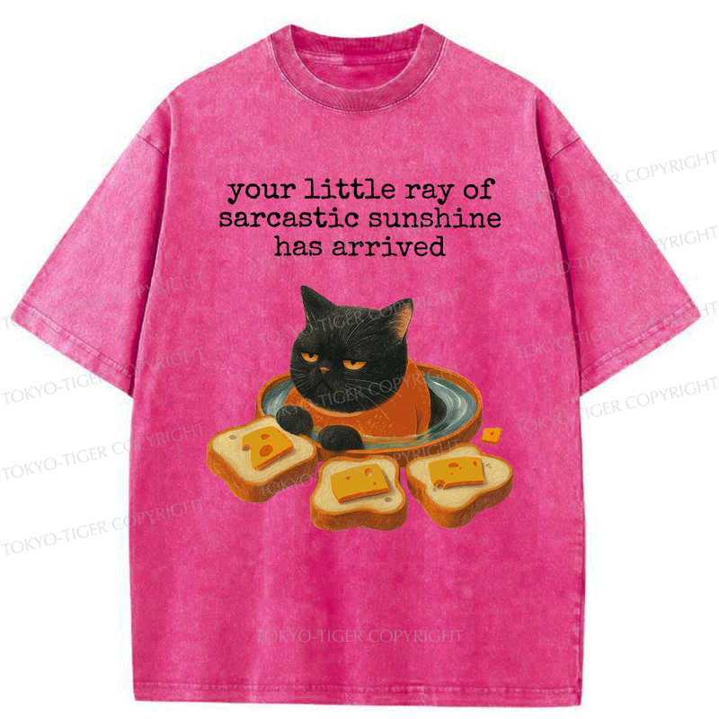 Tokyo-Tiger Funny Cat：Your little Ray Of Sarcastic Sunshine Has Arrived Washed T-Shirt