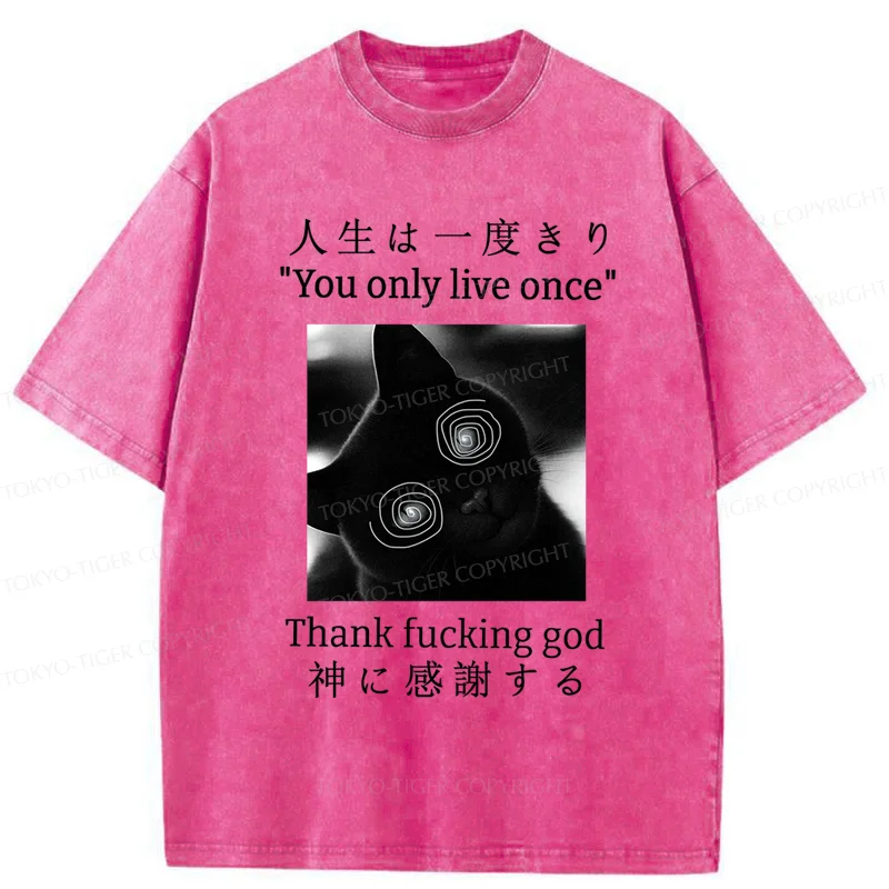 Tokyo-Tiger Dizzy Cat Japan Washed T-Shirt